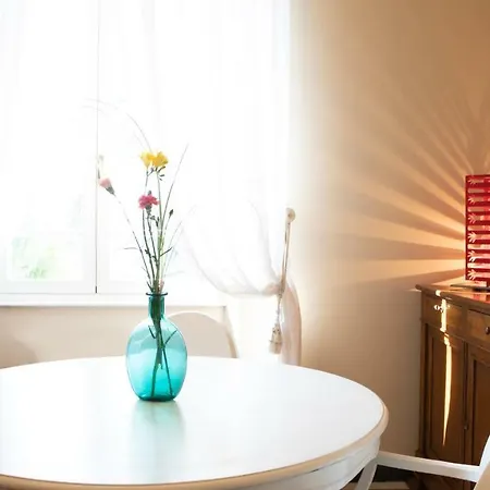Belverde Boutique