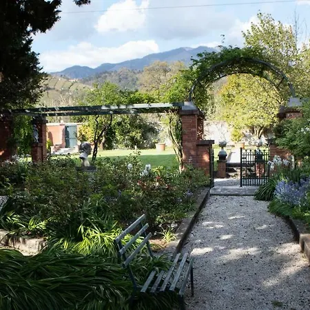 Belverde Boutique Bed & Breakfast Carrara